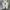 Converse CT All Star 70S OX Low ‘Play’ CDG White Original photo 3