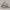 Adidas Nizza RF Sharpie Pack photo 1