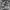 Cargo Army camo pants multi pocket  photo 4