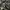 Cargo Army camo pants multi pocket  photo 3