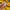 Jersey National Brazil Colour Yellow photo 3