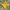 Jersey National Brazil Colour Yellow photo 1