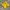 Jersey National Brazil Colour Yellow