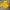 Jersey National Brazil Colour Yellow photo 5