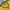 Jersey National Brazil Colour Yellow photo 4