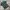 Jersey National Arab Saudi Colour Fire Green photo 3