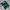 Jersey National Arab Saudi Colour Fire Green