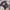 Tshirt Film Space Jam Colour Black
