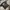 Tshirt Film The Walking dead Zombie photo 2