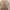 Sweater Cream Mississippi photo 1