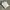 Jacket Adidas Crewneck colour black & white photo 1