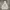 LMC Pullover Hoodie photo 2