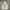 LMC Pullover Hoodie