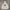 LMC Pullover Hoodie