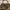 Coach Signature Satchel Vintage (shoulder/handbag)