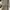 coach signature satchel vintage (shoulder/handbag) photo 8
