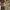 coach signature satchel vintage (shoulder/handbag) photo 7