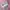 Disney Parks Sequined Mickey Pink Hat photo 2
