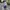 Vintage Roberto Comocino Blue Stripe Shirt photo 5