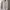 Carlos Fordelo White Shirt  photo 1