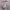 Jaket Cewek Gelembung Puffer Boxy Gemoy Pink Second  photo 2