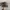 Remington Side Logo Realtree Hats photo 2