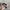 BigBend Electric Realtree Hats by Drift Creek photo 6