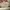 GHW CHANEL BOY SMALL CAVIAR IVORY  photo 7