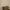 GHW CHANEL BOY SMALL CAVIAR IVORY  photo 4