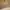 GHW CHANEL BOY SMALL CAVIAR IVORY  photo 8