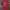 Kaos Brooks Brother Red M photo 1
