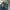 Satur wideleg Baggy washed Jeans Pants  photo 7