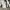 JINISO - Highwaist Rok Slit Jeans Panjang  photo 6