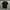 Vintage Casual T-shirt Pria black photo 3
