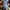 Cargo jeans wide legs stretch photo 1
