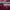 Biker Casual Puffer jacket Pria burgundy photo 3