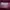 Biker Casual Puffer jacket Pria burgundy photo 4