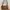 Longchamp Bag photo 2