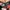 New Era x Lecoq Sportif x Michael Lau "Monster Trucker" Cap photo 6