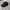 Beauty & Youth United Arrows Black 5 Panel Cap Hat photo 1