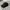 Beauty & Youth United Arrows Black 5 Panel Cap Hat