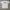Brixton Custom Logo White Tshirt photo 4