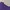 Burberry Purple Tshirt photo 6