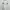 Lolita Wrap dress Wanita white photo 2