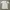 Moncler White Tshirt photo 2