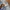 BOBSON PRO WASHED JEANS photo 4