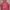 Columbia hooded windbreaker photo 9