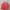 Y2K Coquette Cardigan Wanita multicolor pink photo 1