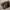  Fossil – Woman Leather Bag (Brown) / Tas Kulit Wanita photo 3