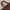  Fossil – Woman Leather Bag (Brown) / Tas Kulit Wanita photo 7